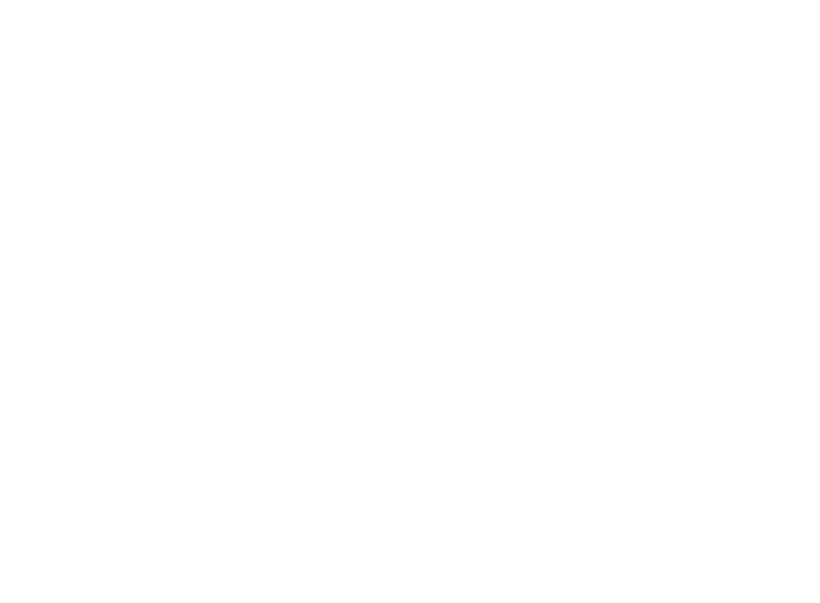 fs icon 1