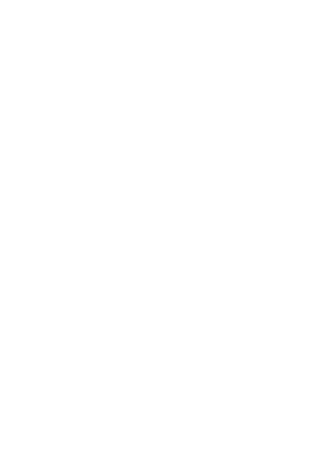 fs icon 3